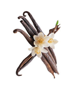 Pastaie de vanilie bio Sri Lanka (1 buc.)